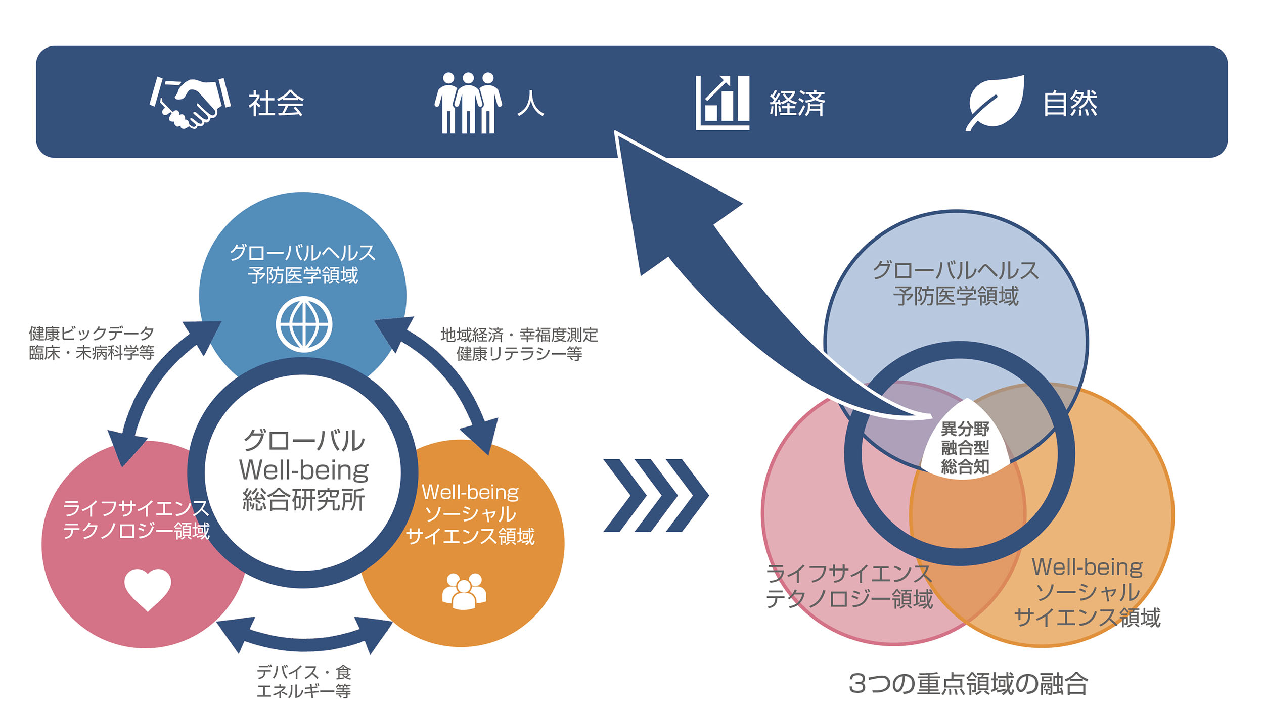弘前大学J-PEAKS 「異分野融合型総合知」の概念