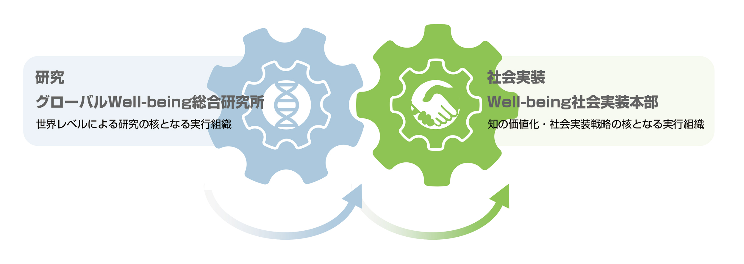 弘前大学J-PEAKS クロスマネジメント体制