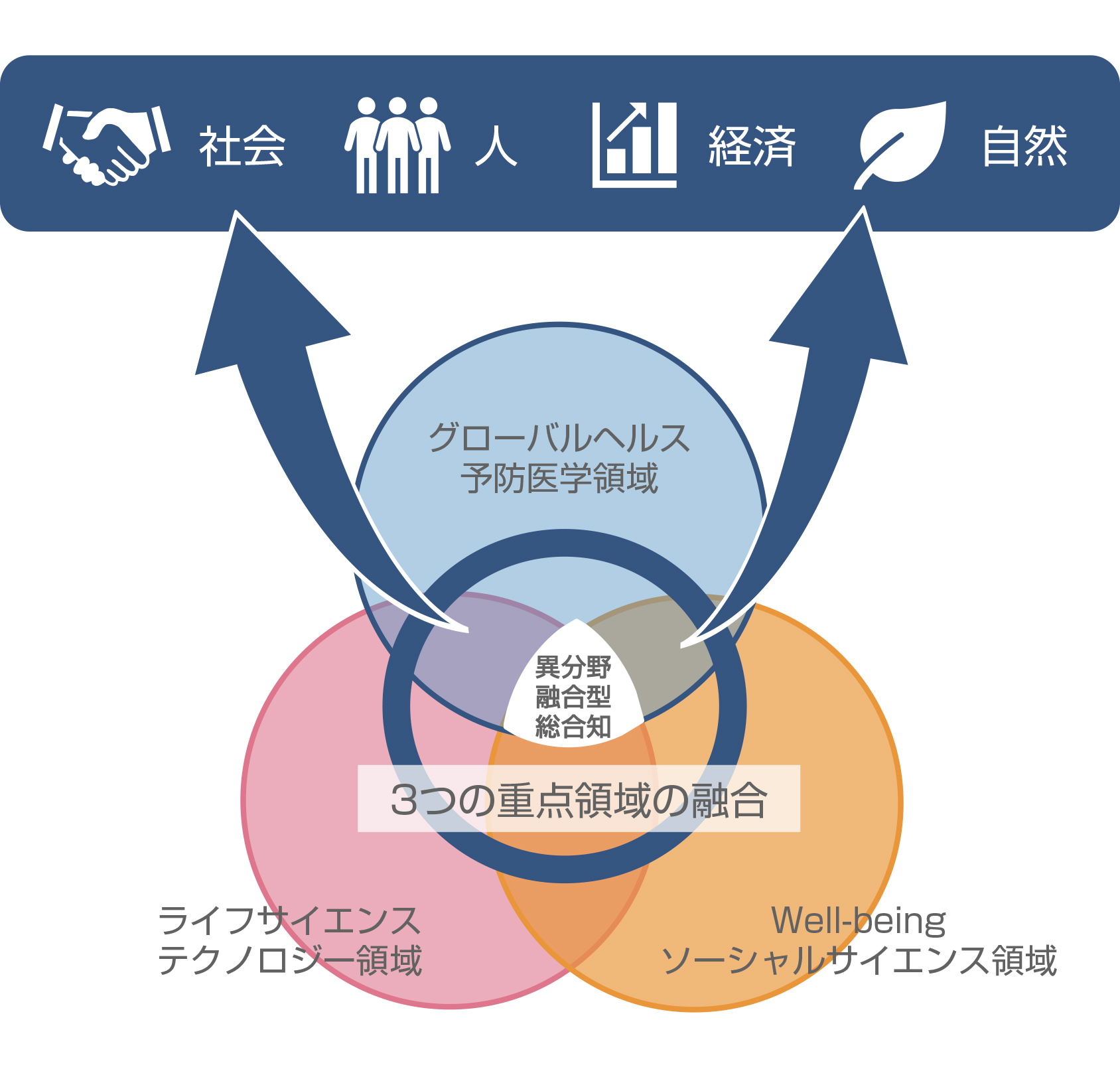 弘前大学J-PEAKS 「異分野融合型総合知」の概念